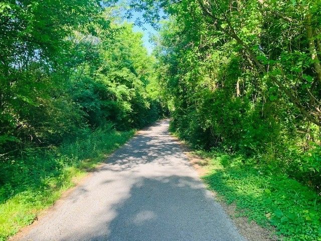 Anita Drive Land: 000 Anita Dr, Knoxville, TN 37920